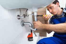 Best Garbage Disposal Repair and Installation  in Belgium, WI